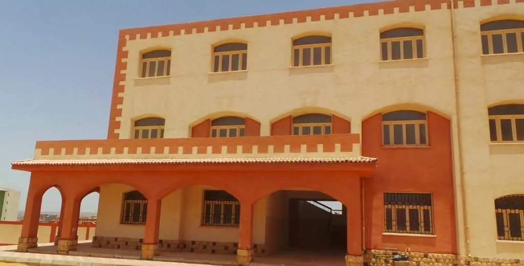 محافظ أسوان يوجه بسرعة حل مشكلات نقص المعلمين والصيانة بـ3 مدارس